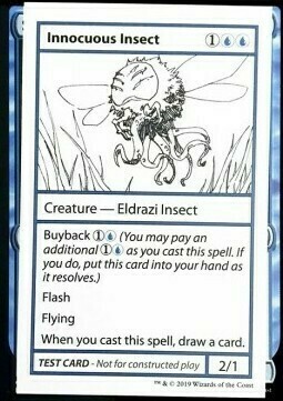 Innocuous Insect Card Front