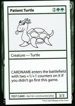 Patient Turtle Card Front