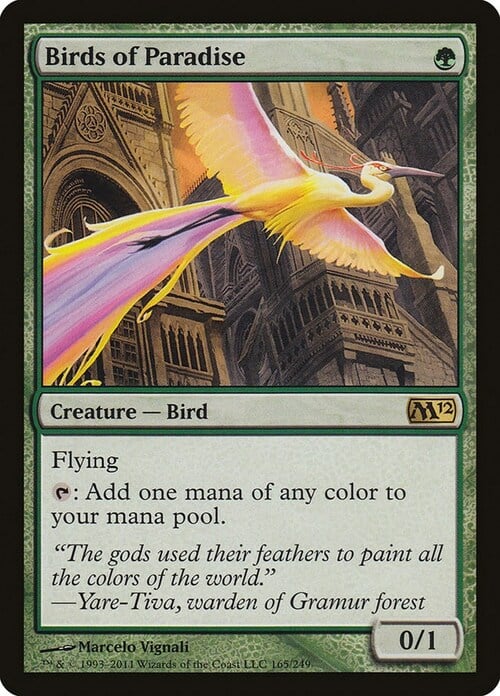 Birds of Paradise Card Front