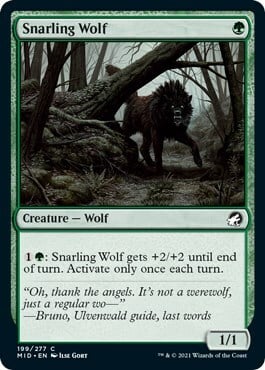 Snarling Wolf Card Front