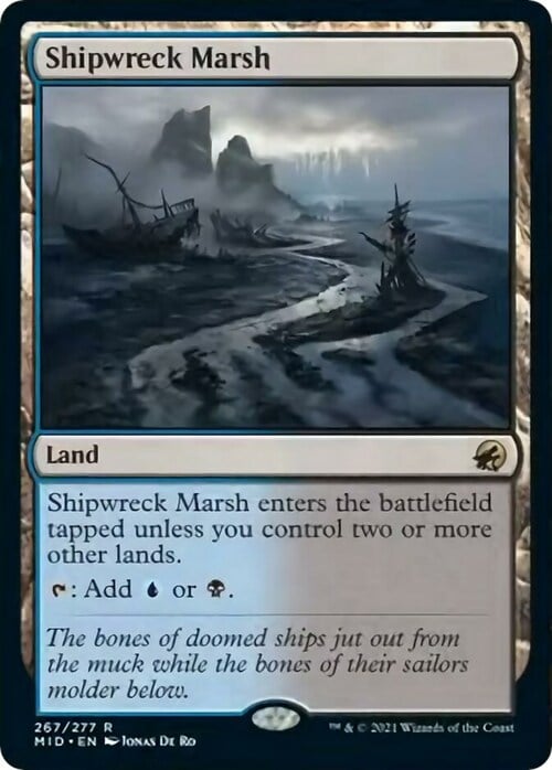 Shipwreck Marsh Card Front