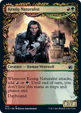 Kessig Naturalist // Lord of Ulvenwald Card Front