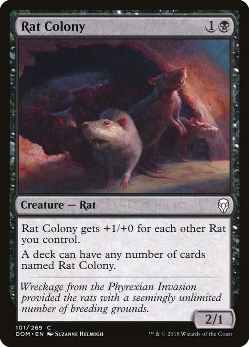 Rat Colony Card Front