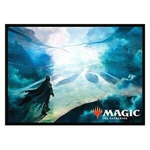 Core 2019: "Omniscience" Sleeves