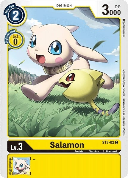 Salamon Card Front