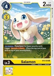 Salamon BT2-034