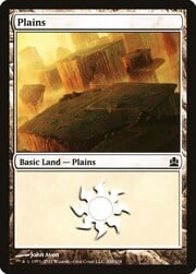 Plains · 300 300