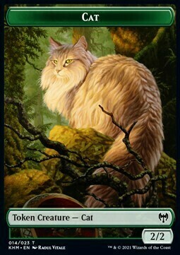 Cat // Elf Warrior Card Front