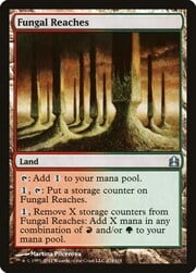 Fungal Reaches 274