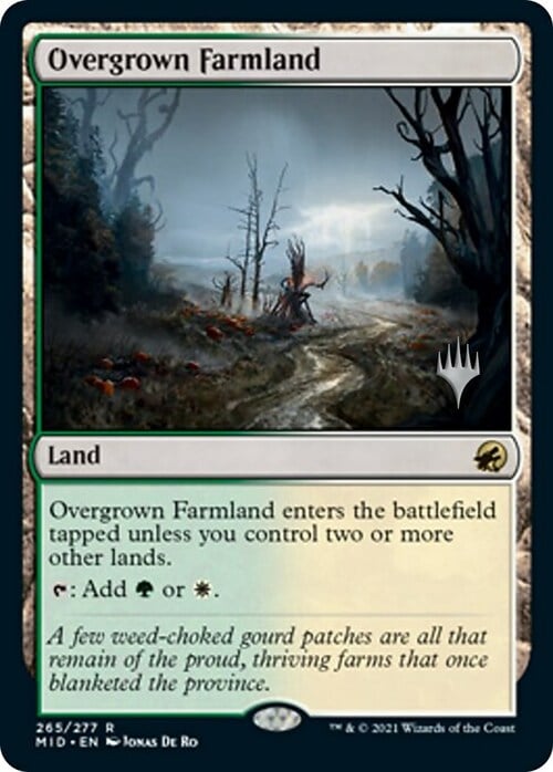 Overgrown Farmland Card Front