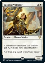 Bastion Protector 080