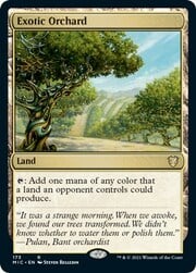 Exotic Orchard 173