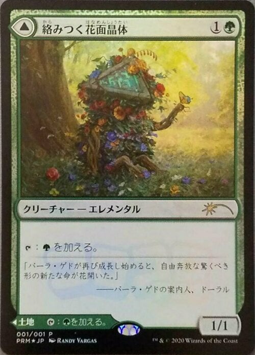 Tangled Florahedron // Tangled Vale Card Front