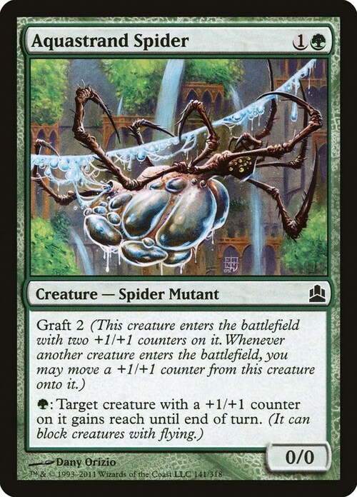 Aquastrand Spider Card Front