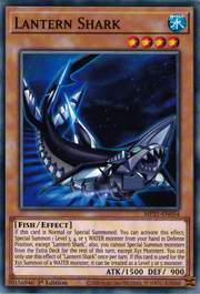 Lantern Shark · Common 054