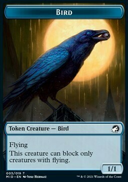 Bird // Wolf Card Front