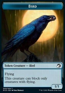 Bird // Clue Card Front