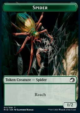 Spider // Clue Card Front