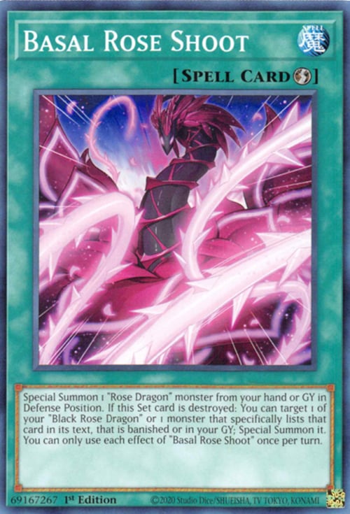 Basal Rose Shoot Card Front