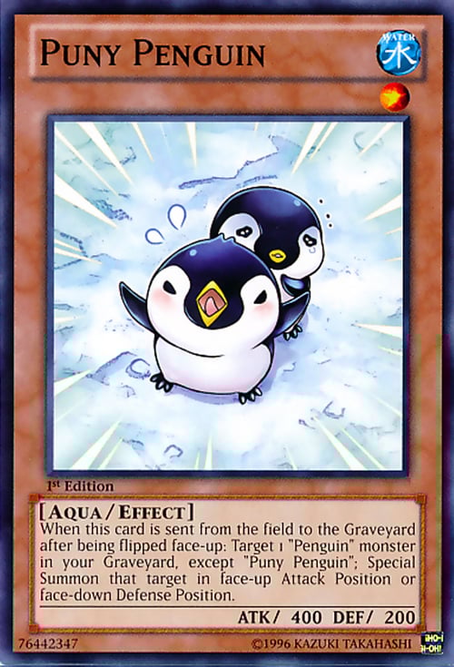 Pinguino Gracile Card Front