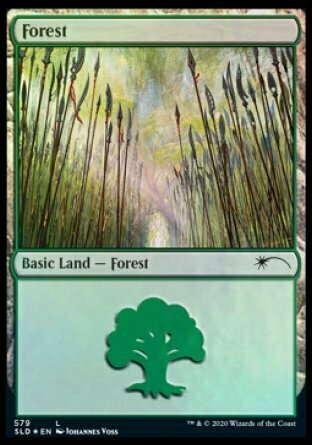 Forest Card Front