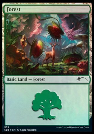 Forest Card Front