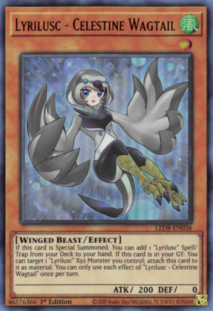 Lyrilusc - Celestine Wagtail Card Front