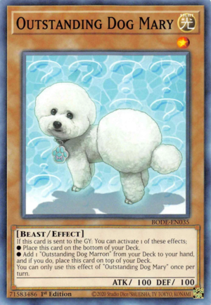 Outstanding Dog Mary Card Front