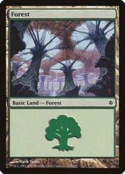 Forest · 175 175