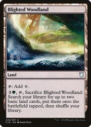 Blighted Woodland 236