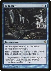 Xenograft 051