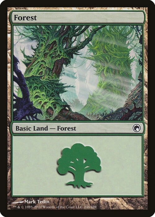 Forest Card Front