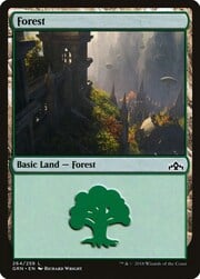 Forest · 264 264