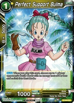 Perfect Support Bulma Card Front