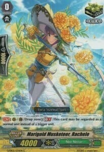 Marigold Musketeer, Rachele Card Front