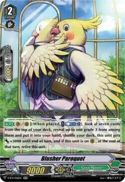 Blusher Paroquet [V Format] Card Front