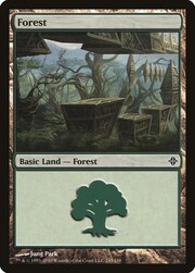 Forest · 245 245