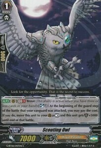 Scouting Owl Card Front