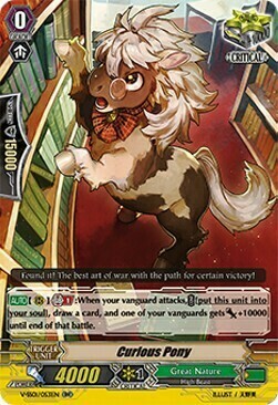 Curious Pony Card Front