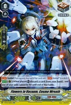 Flowers in Vacuum, Cosmo Wreath Card Front