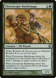 Thornscape Battlemage 042
