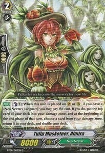 Tulip Musketeer, Almira Card Front