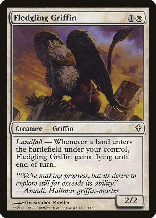 Fledgling Griffin Card Front