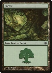 Forest · 31 031