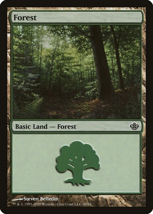 Forest Card Front