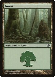 Forest · 28 028