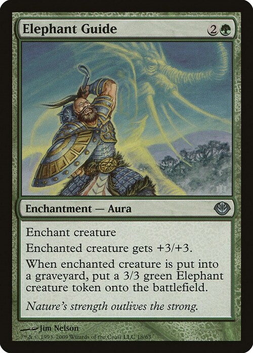 Elephant Guide Card Front