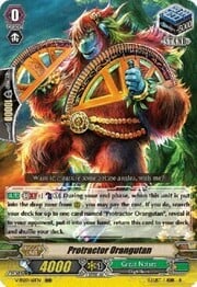 Protractor Orangutan [G Format]