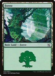 Forest · 34 034