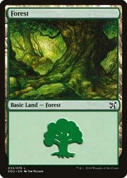 Forest · 33 033